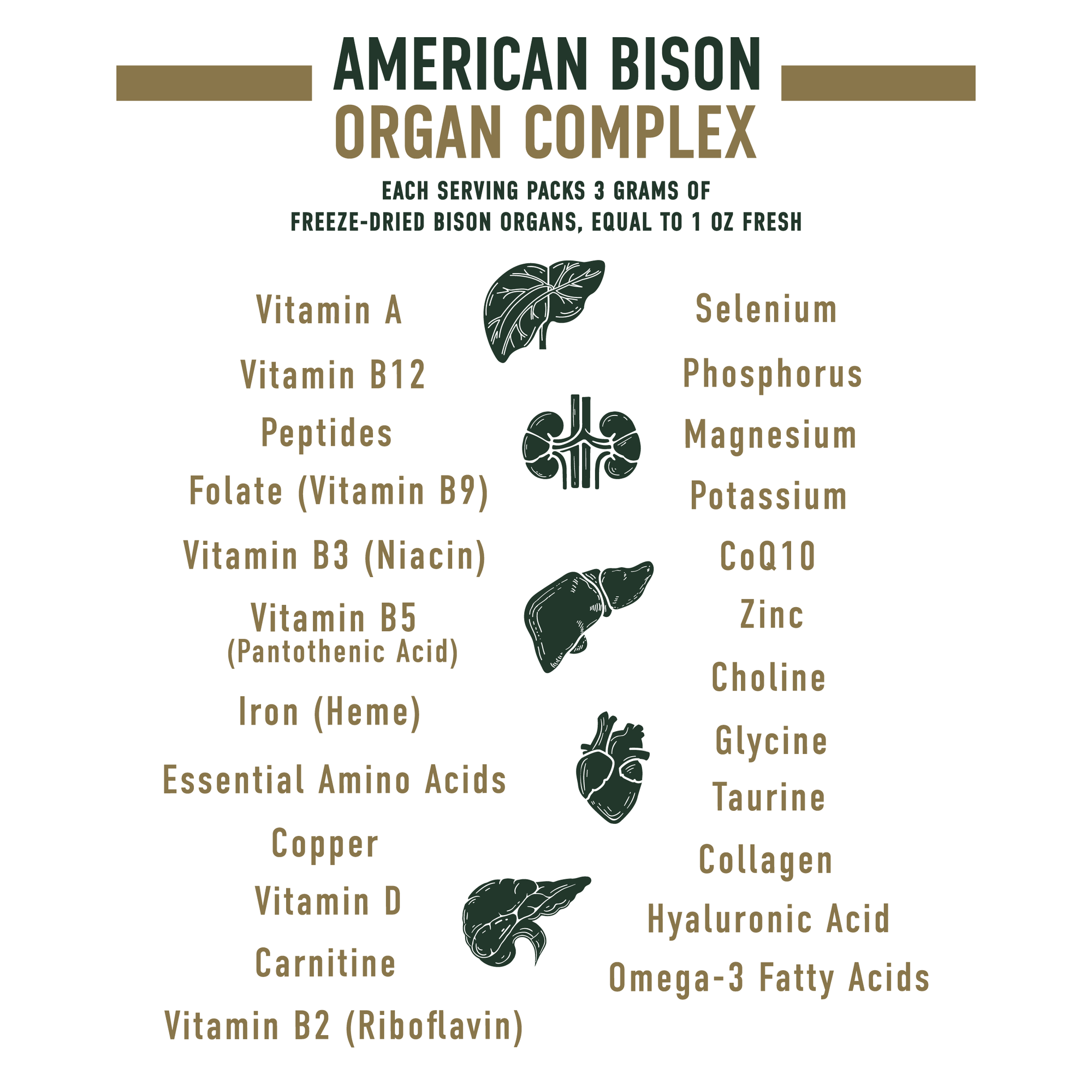 American Bison Organ Complex Supplement